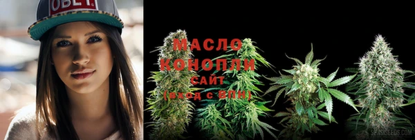 тгк Лагань