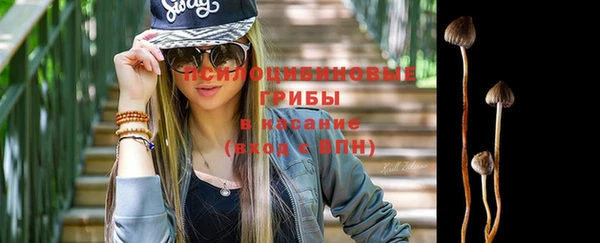 ГАЛЛЮЦИНОГЕННЫЕ ГРИБЫ Лабытнанги
