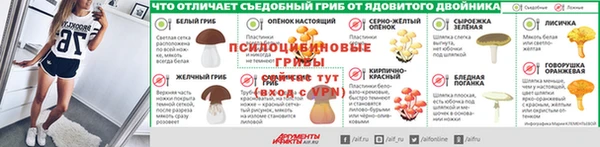 тгк Лагань