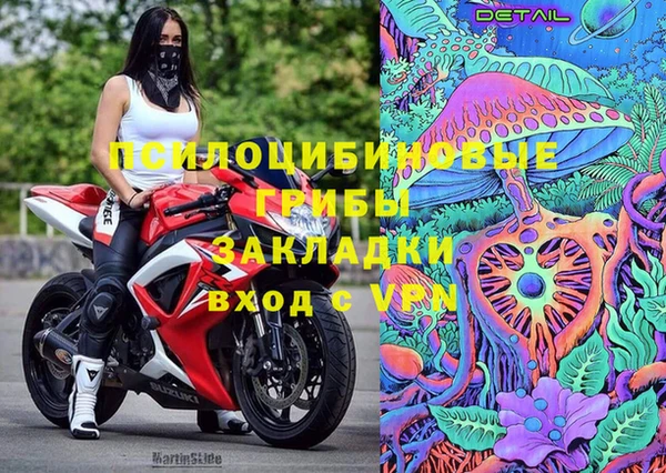 ПСИЛОЦИБИНОВЫЕ ГРИБЫ Малоархангельск