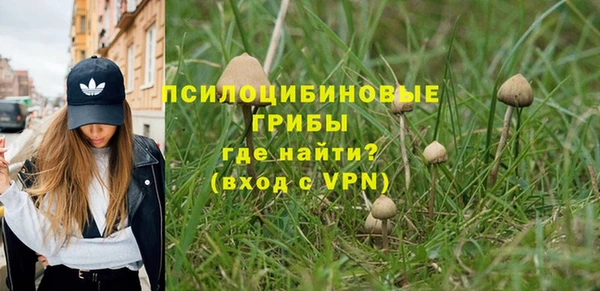 2c-b Ладушкин