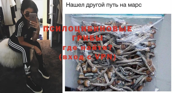 ГАЛЛЮЦИНОГЕННЫЕ ГРИБЫ Лабытнанги