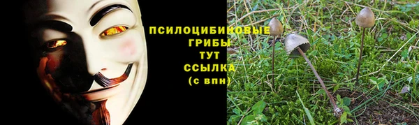 2c-b Ладушкин